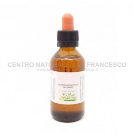 Gemmoderivato di ribes nigrum (ribes nero) 100 ml