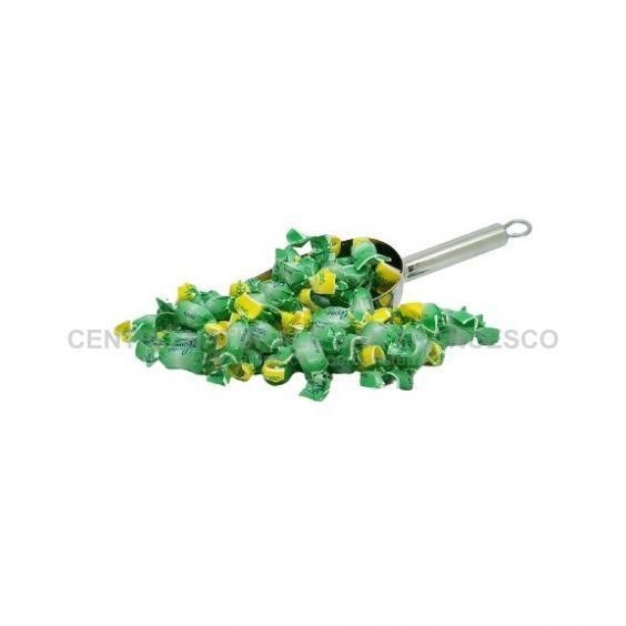 Caramelle Leonsnella alla menta 100 grammi LEONE PASTIGLIE