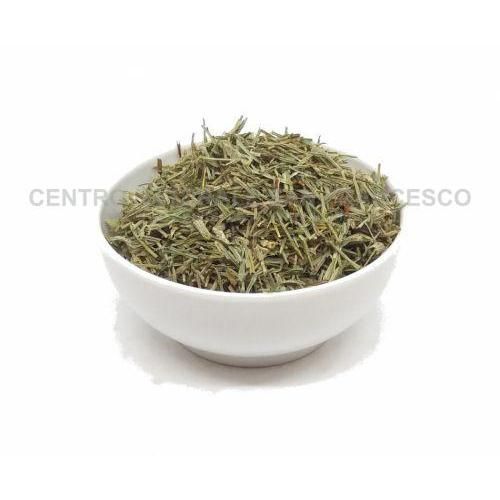 Equiseto arvense fusti sterili 100 grammi